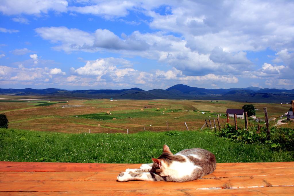 Family Farm Bungalow Žabljak Buitenkant foto